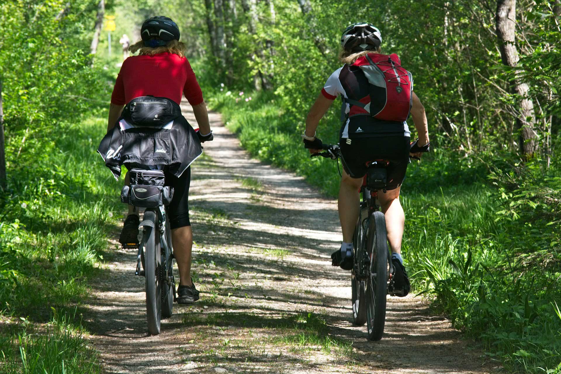 Mountain Biking in New Zealand